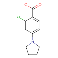 Chemical structure of 2-chloro-4-(pyrrolidin-1-yl)benzoic acid - CSSB00000215651