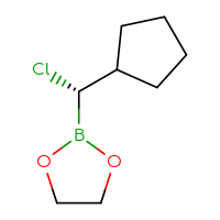 C8H14BClO2