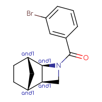 Chemical structure of rac-(1R,2S,5S,6S)-3-(3-bromobenzoyl)-3-azatricyclo[4.2.1.0²,⁵]nonane - CSSB06613769401