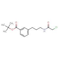 Chemical structure of tert-butyl 3-[3-(2-chloroacetamido)propyl]benzoate - CSSB21332098100