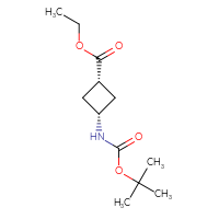 C12H21NO4 C12H21NO4