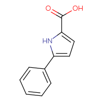 Chemical structure of 5-phenyl-1H-pyrrole-2-carboxylic acid - CSSB00000055608