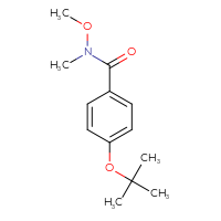Chemical structure of 4-(tert-butoxy)-N-methoxy-N-methylbenzamide - CSSB00020634642