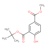 Chemical structure of 3-tert-butyl 1-methyl 4-hydroxybenzene-1,3-dicarboxylate - CSSB03437231736