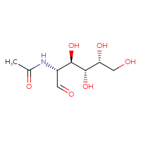 Chemical structure of N-[(2R,3R,4R,5R)-3,4,5,6-tetrahydroxy-1-oxohexan-2-yl]acetamide - CSSB00000010266
