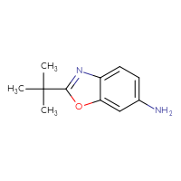 Chemical structure of 2-tert-butyl-1,3-benzoxazol-6-amine - CSSB00011245589