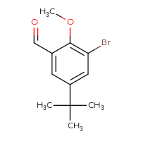 Chemical structure of 3-bromo-5-tert-butyl-2-methoxybenzaldehyde - CSSB00020701170