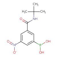 Chemical structure of [3-(tert-butylcarbamoyl)-5-nitrophenyl]boronic acid - CSSB00000022459