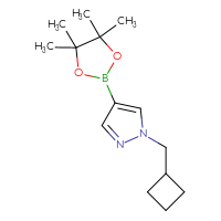 Chemical structure of 1-(cyclobutylmethyl)-4-(4,4,5,5-tetramethyl-1,3,2-dioxaborolan-2-yl)-1H-pyrazole - CSSB00010144067