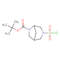 Chemical structure of tert-butyl 3-(chlorosulfonyl)-3,6-diazabicyclo[3.2.1]octane-6-carboxylate - CSSB00153718680