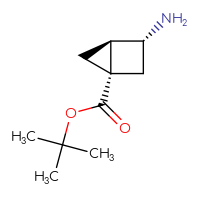 C10H17NO2