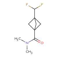 Chemical structure of 3-(difluoromethyl)-N,N-dimethylbicyclo[1.1.1]pentane-1-carboxamide - CSSB03439617242