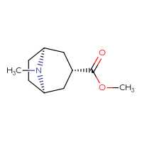 C10H17NO2