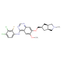 C24H25Cl2FN4O2