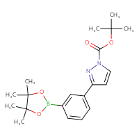 Chemical structure of tert-butyl 3-[3-(4,4,5,5-tetramethyl-1,3,2-dioxaborolan-2-yl)phenyl]-1H-pyrazole-1-carboxylate - CSSB00021356664