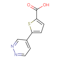 Chemical structure of 5-(pyridazin-4-yl)thiophene-2-carboxylic acid - CSSB02130428664