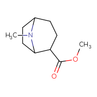C10H17NO2