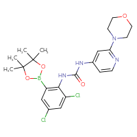 Chemical structure of 3-[2,4-dichloro-6-(4,4,5,5-tetramethyl-1,3,2-dioxaborolan-2-yl)phenyl]-1-[2-(morpholin-4-yl)pyridin-4-yl]urea - CSSB21332139618