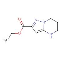 Chemical structure of ethyl 4H,5H,6H,7H-pyrazolo[1,5-a]pyrimidine-2-carboxylate - CSSB00013963750