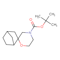 Chemical structure of tert-butyl spiro[bicyclo[2.2.1]heptane-2,2'-morpholine]-4'-carboxylate - CSSB00113829811