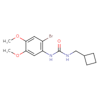 Chemical structure of 1-(2-bromo-4,5-dimethoxyphenyl)-3-(cyclobutylmethyl)urea - CSSB00062339940
