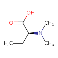 C6H13NO2