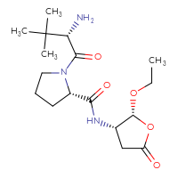 Chemical structure of (2S)-1-[(2S)-2-amino-3,3-dimethylbutanoyl]-N-[(2R,3S)-2-ethoxy-5-oxooxolan-3-yl]pyrrolidine-2-carboxamide - CSSB00015188130