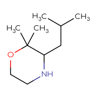 C10H21NO