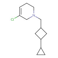 C13H20ClN