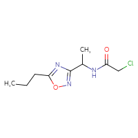 Chemical structure of 2-chloro-N-[1-(5-propyl-1,2,4-oxadiazol-3-yl)ethyl]acetamide - CSSB14902976052