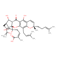 Chemical structure of (2Z)-4-[(1S,2S,8S,15S,16S,17S,19R)-12,16-dihydroxy-8,21,21-trimethyl-5-(3-methylbut-2-en-1-yl)-8-(4-methylpent-3-en-1-yl)-14,18-dioxo-3,7,20-trioxahexacyclo[15.4.1.0²,¹⁵.0²,¹⁹.0⁴,¹³.0⁶,¹¹]docosa-4(13),5,9,11-tetraen-19-yl]-2-methylbut-2-enoic acid - CSSB06744480102