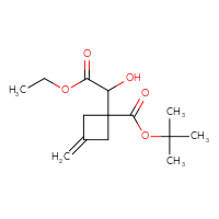 Chemical structure of tert-butyl 1-(2-ethoxy-1-hydroxy-2-oxoethyl)-3-methylidenecyclobutane-1-carboxylate - CSSB21332050930