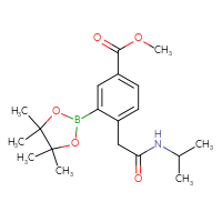 C19H28BNO5