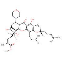 Chemical structure of methyl (2Z)-4-[(1R,2R,8S,17R,19S)-12-hydroxy-8,21,21-trimethyl-5-(3-methylbut-2-en-1-yl)-8-(4-methylpent-3-en-1-yl)-16-(morpholin-4-yl)-14,18-dioxo-3,7,20-trioxahexacyclo[15.4.1.0²,¹⁵.0²,¹⁹.0⁴,¹³.0⁶,¹¹]docosa-4,6(11),9,12-tetraen-19-yl]-2-methylbut-2-enoate - CSSB02125555353