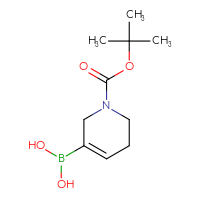 C10H18BNO4