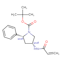 Chemical structure of rac-tert-butyl (2R,4R)-2-phenyl-4-(prop-2-enamido)pyrrolidine-1-carboxylate - CSSB21332073458