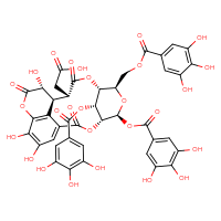 Chemical structure of 2-[(4R,5S,7R,8R,11S,12S,13R,21R)-13,17,18-trihydroxy-2,10,14-trioxo-5,21-bis(3,4,5-trihydroxybenzoyloxy)-7-[(3,4,5-trihydroxybenzoyloxy)methyl]-3,6,9,15-tetraoxatetracyclo[10.7.1.1⁴,⁸.0¹⁶,²⁰]henicosa-1(19),16(20),17-trien-11-yl]acetic acid - CSSB03619048563