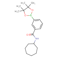 Chemical structure of N-cycloheptyl-3-(4,4,5,5-tetramethyl-1,3,2-dioxaborolan-2-yl)benzamide - CSSB02229500789