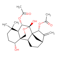 Chemical structure of (1S,2S,5R,7R,8S,9S,10S,11R,15R)-10-(acetyloxy)-9,15-dihydroxy-12,12-dimethyl-6-methylidene-17-oxapentacyclo[7.6.2.1⁵,⁸.0¹,¹¹.0²,⁸]octadecan-7-yl acetate - CSSB06744482155