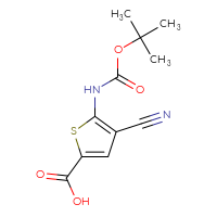 Chemical structure of 5-{[(tert-butoxy)carbonyl]amino}-4-cyanothiophene-2-carboxylic acid - CSSB00116215196