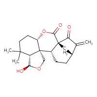 Chemical structure of (1S,4S,8R,9R,12S,13R,16R)-9-hydroxy-7,7-dimethyl-17-methylidene-3,10-dioxapentacyclo[14.2.1.0¹,¹³.0⁴,¹².0⁸,¹²]nonadecane-2,18-dione - CSSB00159262325