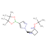 Chemical structure of rac-1-{[(1R,2S)-2-(tert-butoxy)cyclobutyl]methyl}-4-(4,4,5,5-tetramethyl-1,3,2-dioxaborolan-2-yl)-1H-pyrazole - CSSB06805156057