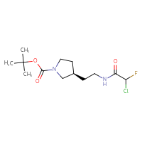 Chemical structure of tert-butyl (3R)-3-[2-(2-chloro-2-fluoroacetamido)ethyl]pyrrolidine-1-carboxylate - CSSB09891962424