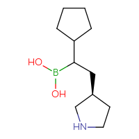 C11H22BNO2