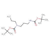 Chemical structure of tert-butyl N-(3-{[(tert-butoxy)carbonyl]amino}propyl)-N-propylcarbamate - CSSB21123231112