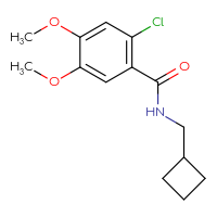 Chemical structure of 2-chloro-N-(cyclobutylmethyl)-4,5-dimethoxybenzamide - CSSB01440852073