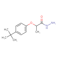 Chemical structure of 2-(4-tert-butylphenoxy)propanehydrazide - CSSB00000490533