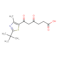Chemical structure of 6-(2-tert-butyl-4-methyl-1,3-thiazol-5-yl)-4,6-dioxohexanoic acid - CSSB21432526081