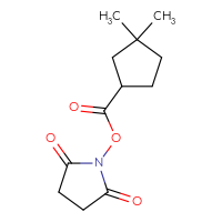 Chemical structure of 2,5-dioxopyrrolidin-1-yl 3,3-dimethylcyclopentane-1-carboxylate - CSSB00129267340