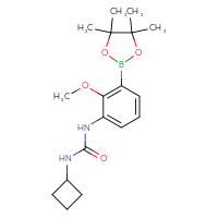 Chemical structure of 3-cyclobutyl-1-[2-methoxy-3-(4,4,5,5-tetramethyl-1,3,2-dioxaborolan-2-yl)phenyl]urea - CSSB20634227253